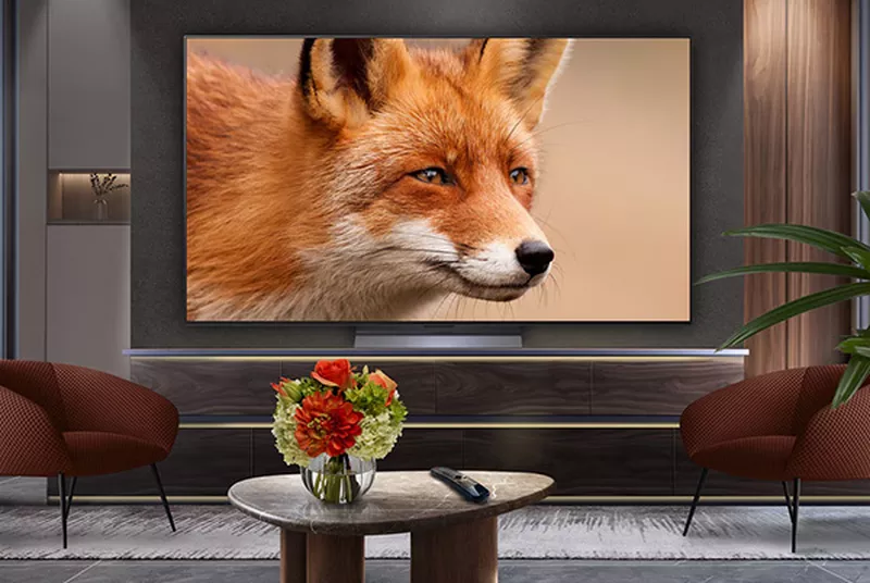a large lg c5 tv with a picture of a fox on a wall in a living room